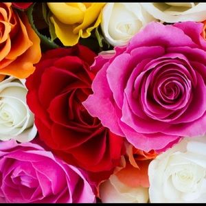 Meet your Posher, Destine